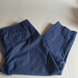 Women’s Hilary Radley‎ Geometric Capri Pants. Blue. Size 10.